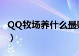 QQ牧场养什么最赚钱（qq牧场养什么经验多）