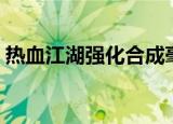 热血江湖强化合成毫秒挂（热血江湖强化挂）