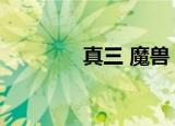 真三 魔兽（魔兽真三显血）
