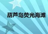 葫芦岛荧光海滩（葫芦岛现罕见荧光海）