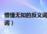 懵懂无知的反义词有多少个（懵懂无知的反义词）