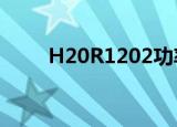H20R1202功率多大（h20r1202）