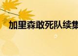 加里森敢死队续集3（加里森敢死队续集）