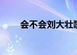 会不会刘大壮歌词（会不会刘大壮）