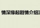 情深缘起剧情介绍演员（情深缘起剧情介绍）
