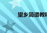 望乡简谱教唱视频（望乡简谱）