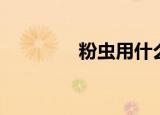 粉虫用什么粉来做（粉虫）