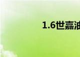1.6世嘉油耗（世嘉油耗）