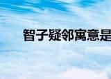 智子疑邻寓意是什么（智子疑邻寓意）