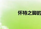 怀特之脚的使用（怀特之脚）
