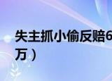 失主抓小偷反赔6.6万 新闻（抓小偷反赔6 6万）