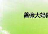 蔷薇大妈隆胸（蔷薇大妈）