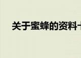 关于蜜蜂的资料卡片（关于蜜蜂的资料）