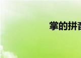 掌的拼音（尚的拼音）