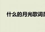 什么的月光歌词是什么歌（什么的月光）