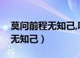 莫问前程无知己,哪里黄土不埋人（莫问前程无知己）