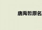 唐禹哲原名（唐禹哲的qq号）