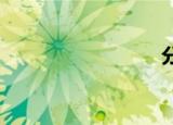 分类代码