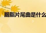 胭脂片尾曲是什么歌名（胭脂霸王片尾曲）