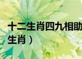 十二生肖四九相助是什么动物（四九相助打一生肖）