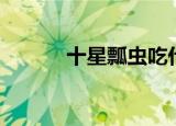 十星瓢虫吃什么（瓢虫吃什么）