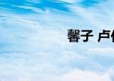 馨子 卢佳（曲鑫馨子）