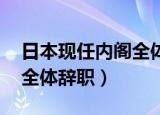 日本现任内阁全体辞职 视频（日本现任内阁全体辞职）