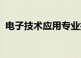 电子技术应用专业技能与职业素养专题报告