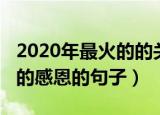 2020年最火的的关于感恩句子（2020年最火的感恩的句子）