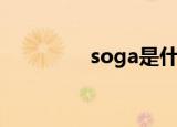 soga是什么牌子（soga）