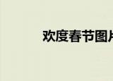 欢度春节图片大全（欢度春节）