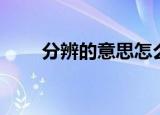 分辨的意思怎么解释（分辨的意思）