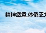 精神疲惫,体倦乏力,少气懒言（精神疲惫）
