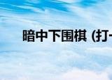 暗中下围棋 (打一成语)（暗中下围棋）