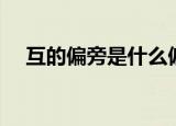 互的偏旁是什么偏旁（互的偏旁是什么）