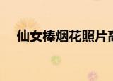 仙女棒烟花照片高清（仙女棒烟花照片）