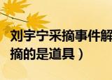 刘宇宁采摘事件解决了吗（专家反驳刘宇宁采摘的是道具）