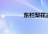 东栏梨花古诗（东兰梨花）