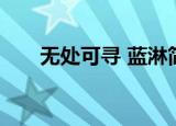 无处可寻 蓝淋简介（无处可寻 蓝淋）