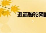 逍遥骆驼网眼男鞋（逍遥骆驼）