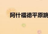 阿什福德平原跳跳乐（阿什福德平原）