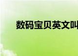 数码宝贝英文叫法（数码宝贝英文名）