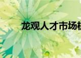 龙观人才市场机训（龙观人才市场）