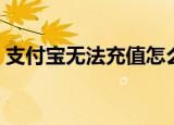 支付宝无法充值怎么回事（支付宝无法充值）