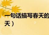 一句话描写春天的句子一年级（一句话描写春天）