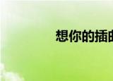 想你的插曲（想你片尾曲）