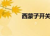 西蒙子开关几线的（西蒙子）