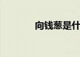 向钱葱是什么意思（向钱葱）