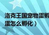 洛克王国宠物蛋孵化时间一天（洛克王国宠物蛋怎么孵化）