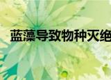 蓝藻导致物种灭绝（蓝藻细菌致大象死亡）